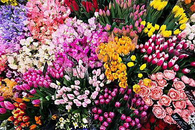 任天堂发布NSO会员新头像素材 《马车8》与《动森》主题