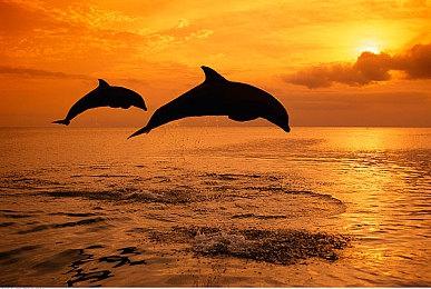 像素解密作画游戏《绘图方块S8》正式官宣